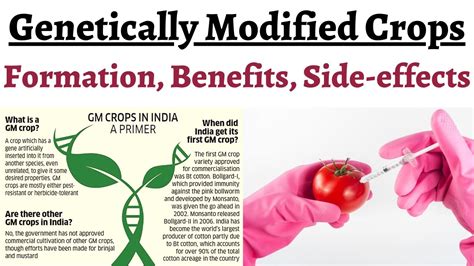 Genetically Modified Crops