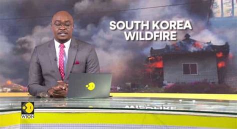 South Korea wildfire News - Latest South Korea wildfire News, Breaking ...