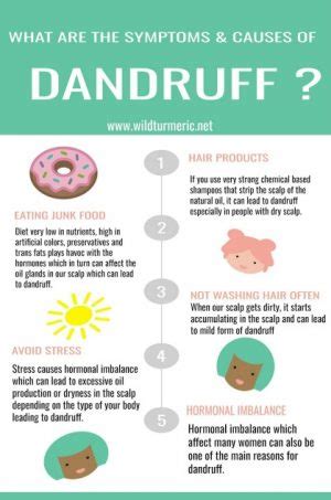 10 Top Causes, Symptoms & Treatments For Dandruff We Should Know ...