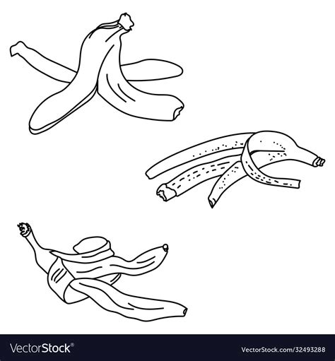 Set Of Outline Banana Peels Vector Hand Draw Illustration Natural | The Best Porn Website