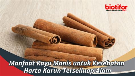 Manfaat Kayu Manis untuk Kesehatan Bisa untuk Diet lho! - Biotifor