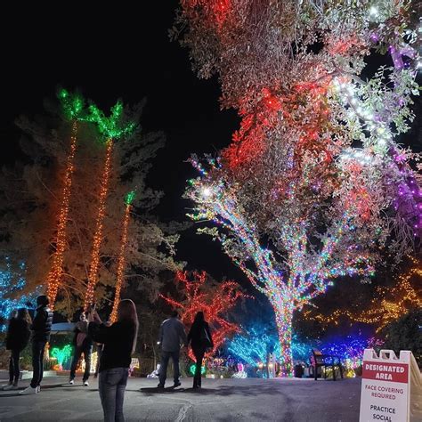 Phoenix Zoo Lights - When In Your State