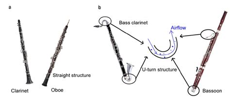 Fig. S8 | Images of reed instruments. (a) Clarinet and oboe. Both... | Download Scientific Diagram