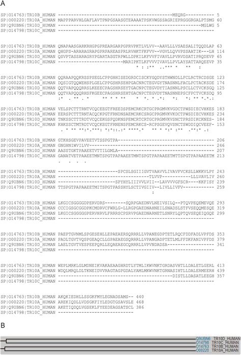 RNA-seq and Single-Cell Transcriptome Analyses of TRAIL Receptors Gene Expression in Human ...