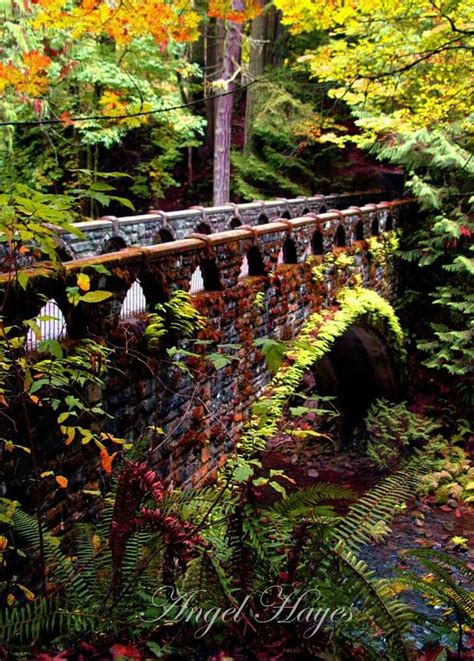 Whatcom Falls Park bridge | Autumn park, Garden arch, Outdoor