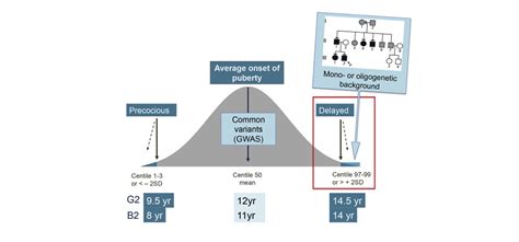 Understanding Delayed Puberty: Causes, Symptoms & Treatment Options