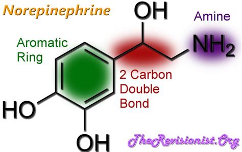 Monoamines, Monoamine Oxidase, and its Inhibitors - The Revisionist