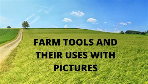 Common farm tools and equipment: Names, uses, and pictures - Legit.ng