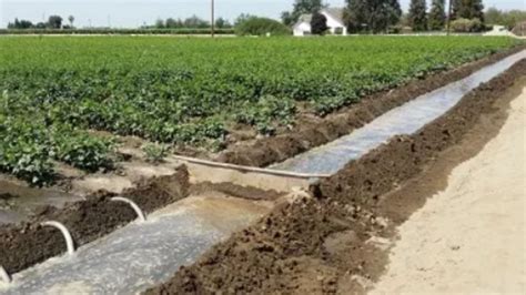 surface irrigation :- How does surface irrigation work?