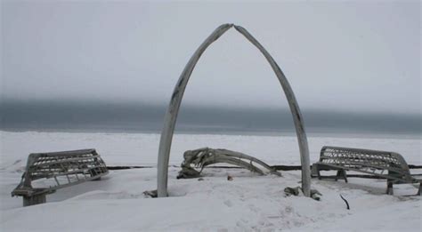 Free picture: whale, bone, skin, boat, frames, barrow, Alaska