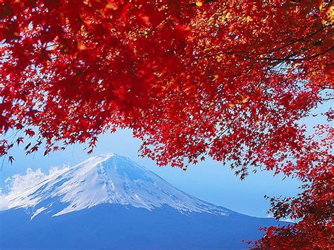 Experience the Beauty of Autumn in Japan | Autumn in japan, Japan ...