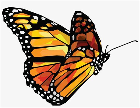 Butterfly - Butterfly Vector Png Transparent PNG - 1920x1319 - Free Download on NicePNG