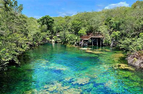 The most impressive cenotes in Riviera Maya - Riviera Maya (2023)