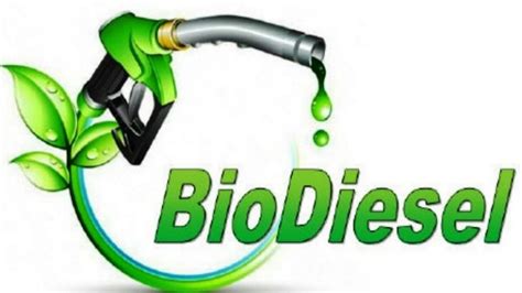 Biofuel: Types, Uses & Examples – StudiousGuy