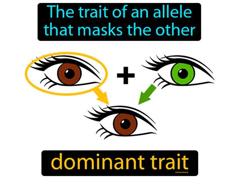 Dominant Definition : Dominant vs Recessive traits - YouTube - shaciiner