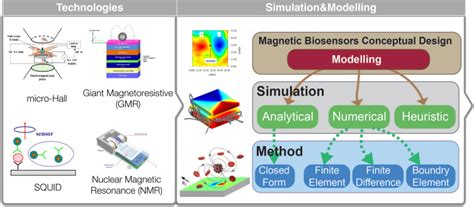 Principles and Types of Biosensors