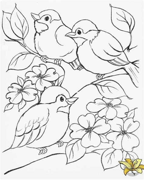 Pin by Carina Esteves on Pano de prato pintado | Bird drawings, Bird coloring pages, Drawings