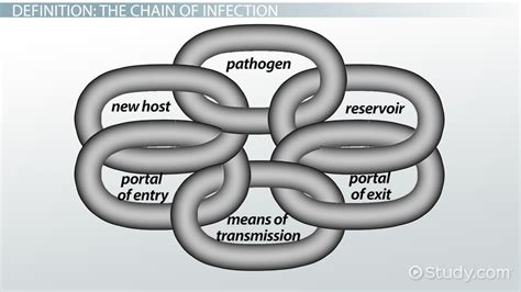 Chain of Infection | Definition, Order & Transmission - Lesson | Study.com