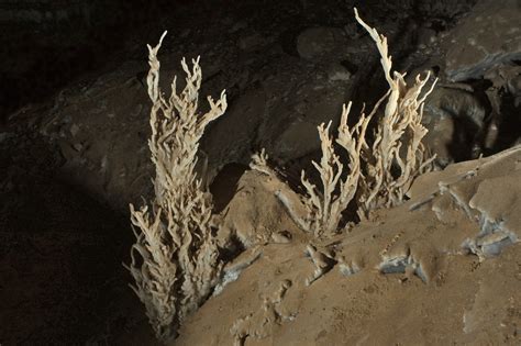 Speleothems (Cave Formations) - Wind Cave National Park (U.S. National ...