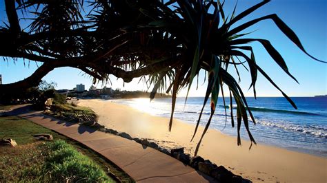 Kings Beach | Australia's Nature Coast - Sunshine Coast and Fraser Coast