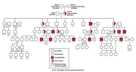 Queen Victoria Family Tree