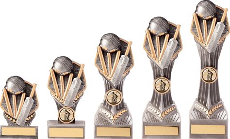 Falcon Cricket Award : Buy Now from Epic Trophies