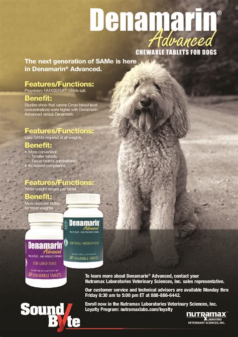 Denamarin Advanced | Vet Advantage