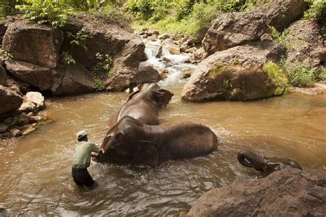 Tourism supports wildlife conservation in Myanmar