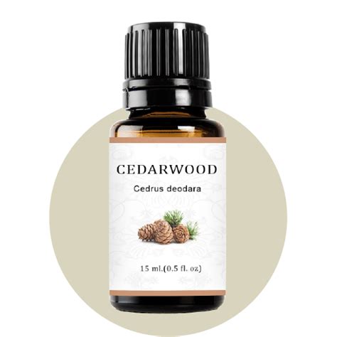 Cedarwood Essential oil | Cedarwood oil | Cedarwood oil Uses