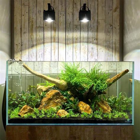 Aquarium Lighting Guide: An In-depth Analysis | Aquarium garden, Aquarium, Aquascape