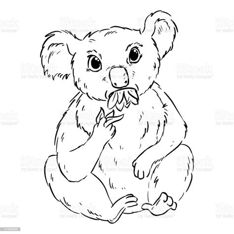 Koala Eating Eucalyptus Cartoon Doodle Cute Koala Animag Chewing Leaves Comic Drawing For ...