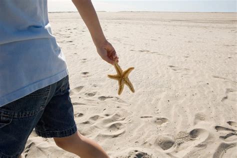 Person Holding A Starfish On A Sandy Beach Stock Photo - Image of nature, navagio: 20053524