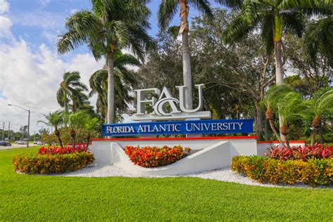 Florida Atlantic University - AtillaChyrsten