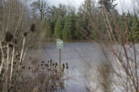 Flood warnings issued for Tualatin, Pudding rivers - oregonlive.com