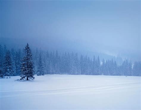 Free download Snowy Backgrounds [1280x1007] for your Desktop, Mobile & Tablet | Explore 75 ...