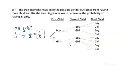 Using a Tree Diagram to Find the Probability of a Compound Event | Math | Study.com