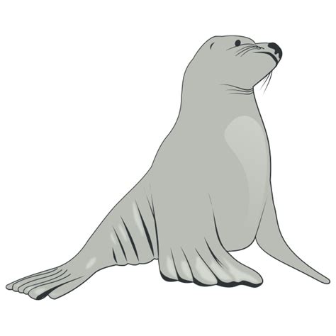 Sea lion vector image | Free SVG