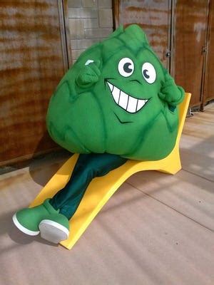 Is Scottsdale Community College's mascot really an artichoke?