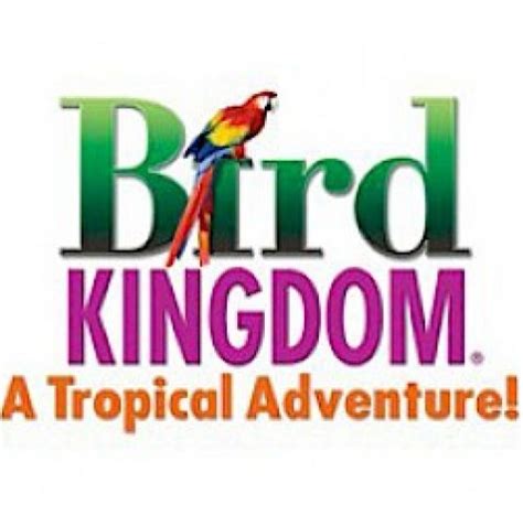 Bird Kingdom