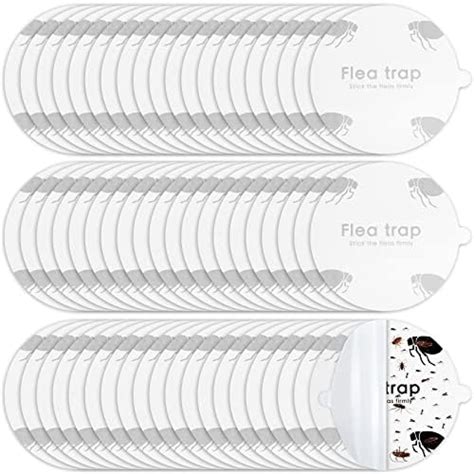 Amazon.com : 30 Pcs Flea Trap Refill Glue Boards for Terro T230 T231 ...