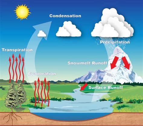 Mrs. Remis' Earth Science Blog - 6th grade: ATMOSPHERE - HYDROLOGIC ...