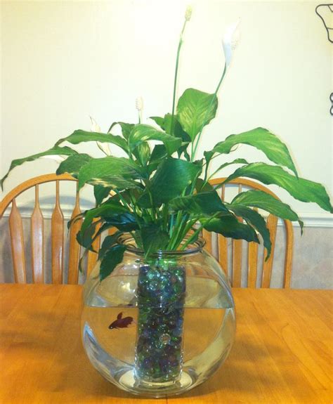 a fish bowl filled with water and plants on top of a wooden dining room table