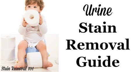 Urine Stain Removal Guide