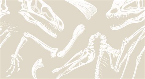 Dinosaur Skeleton Wallpapers - Wallpaper Cave