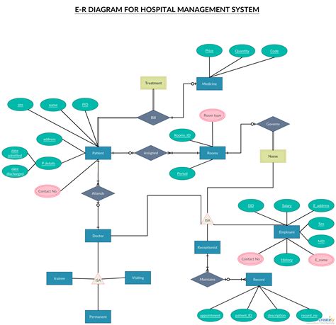 Er Diagram Tutorial | Complete Guide To Entity Relationship | ERModelExample.com