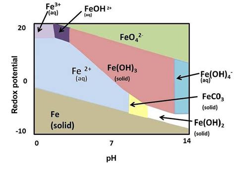 Implications of excessive water iron to fish health and some mitigation ...