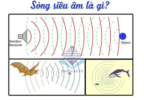 Tìm hiểu về sóng siêu âm là sóng điện từ và ứng dụng trong y tế