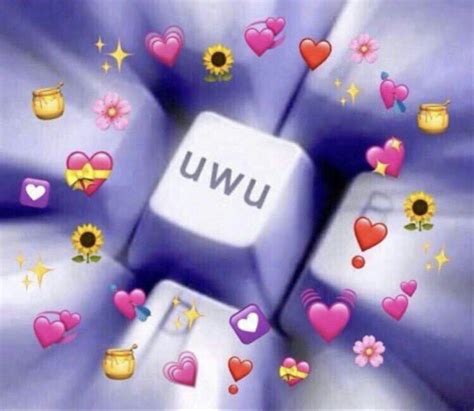 uwu meme | Cute love memes, Love memes, Cute memes