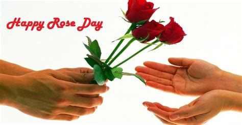 Happy Rose Day Messages - TIS Quotes