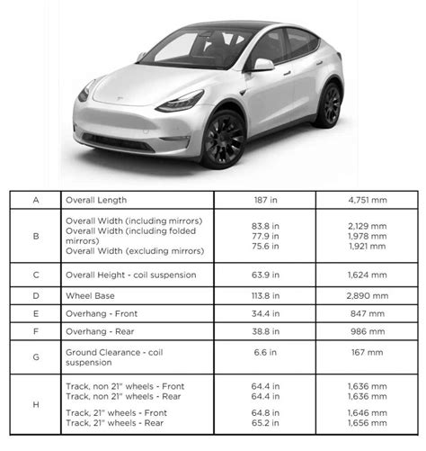 Tesla Model Y Manuale - Image to u